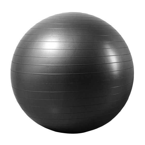 Endurance Gym Ball 55 cm 