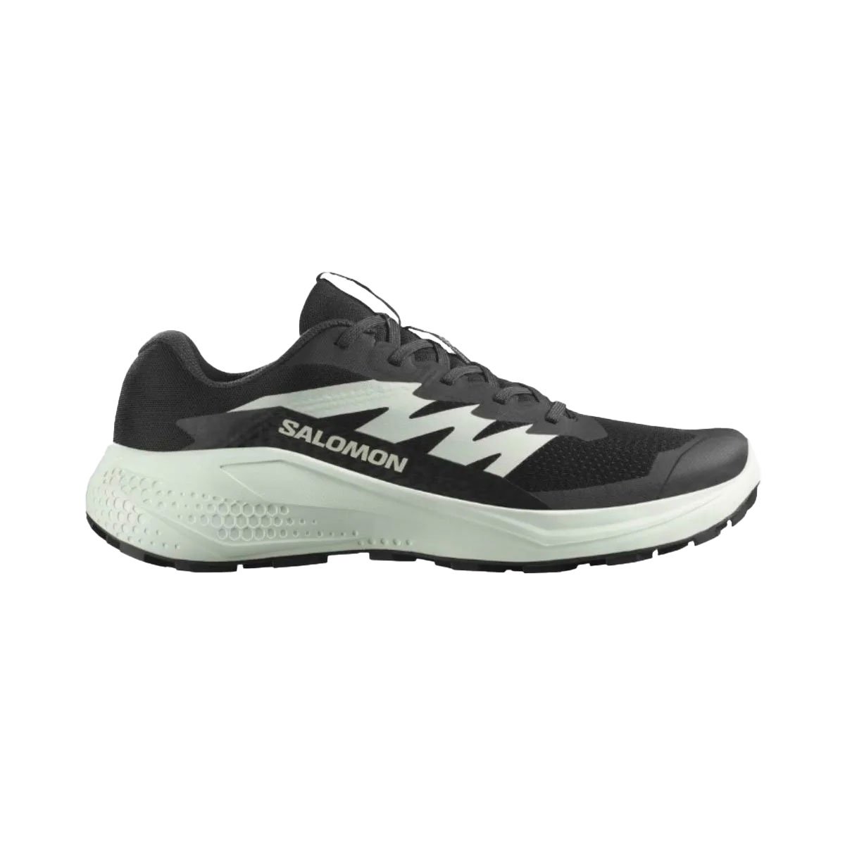 Salomon Alphaglide Sko Herre