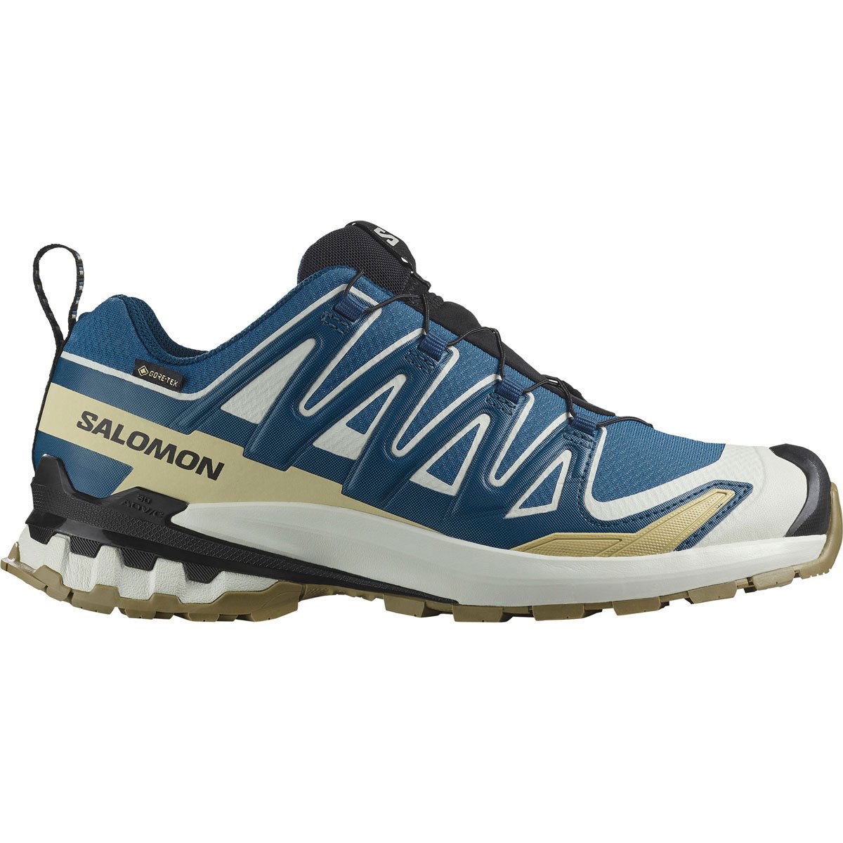Salomon XA PRO 3D V9 Gore-Tex Herresko